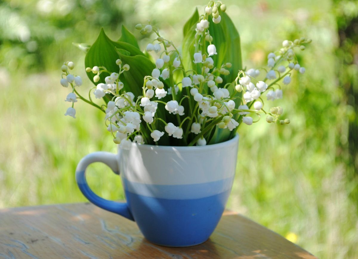 Весеннее настроение