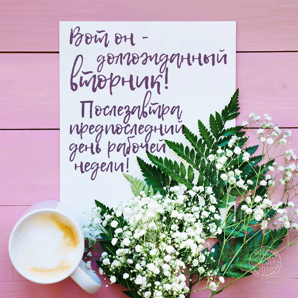 Открытки с добрым утром вторника