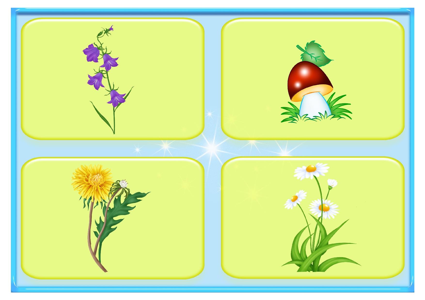 Развитие речи средняя группа растения. Дидактическая игра четвертый лишний. Карточки четвертый лишний. Карточки с изображением цветов. Растения для дошкольников старшая группа.