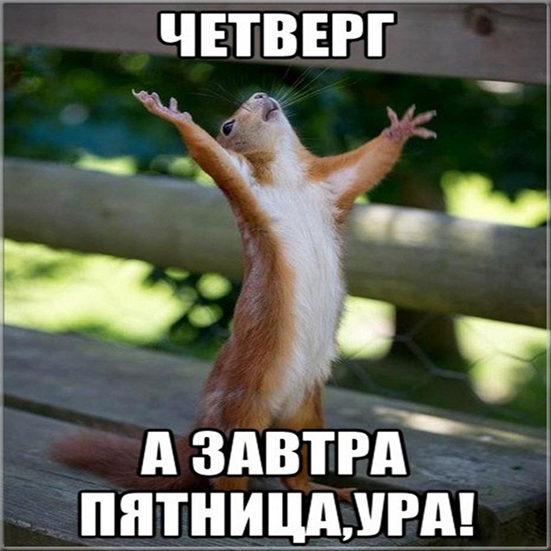 Хорошего четверга и отличного настроения