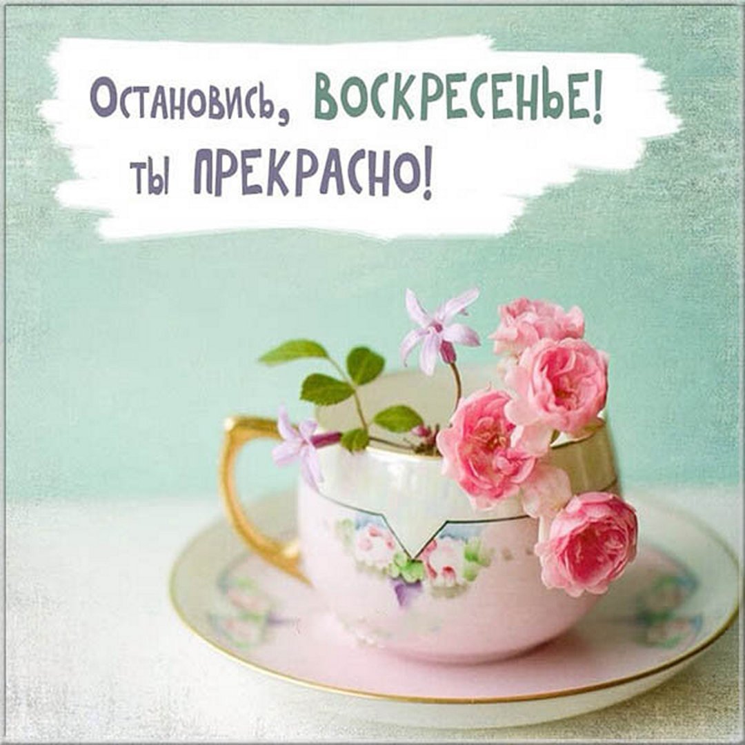 Доброе Воскресное утро прикольные