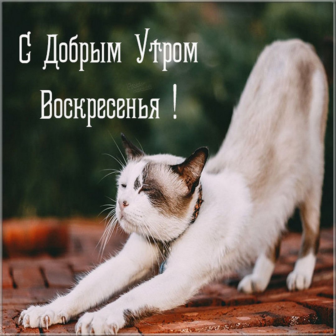 Открытки впереди выходные