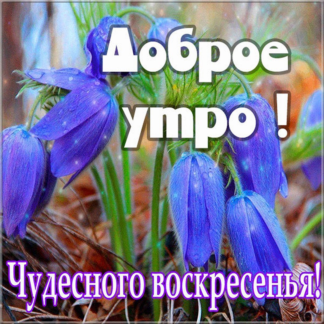 Доброе субботнее утро