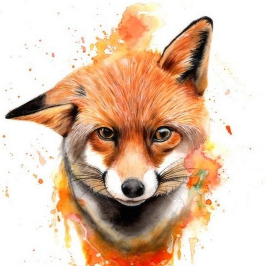 Крутые лисы