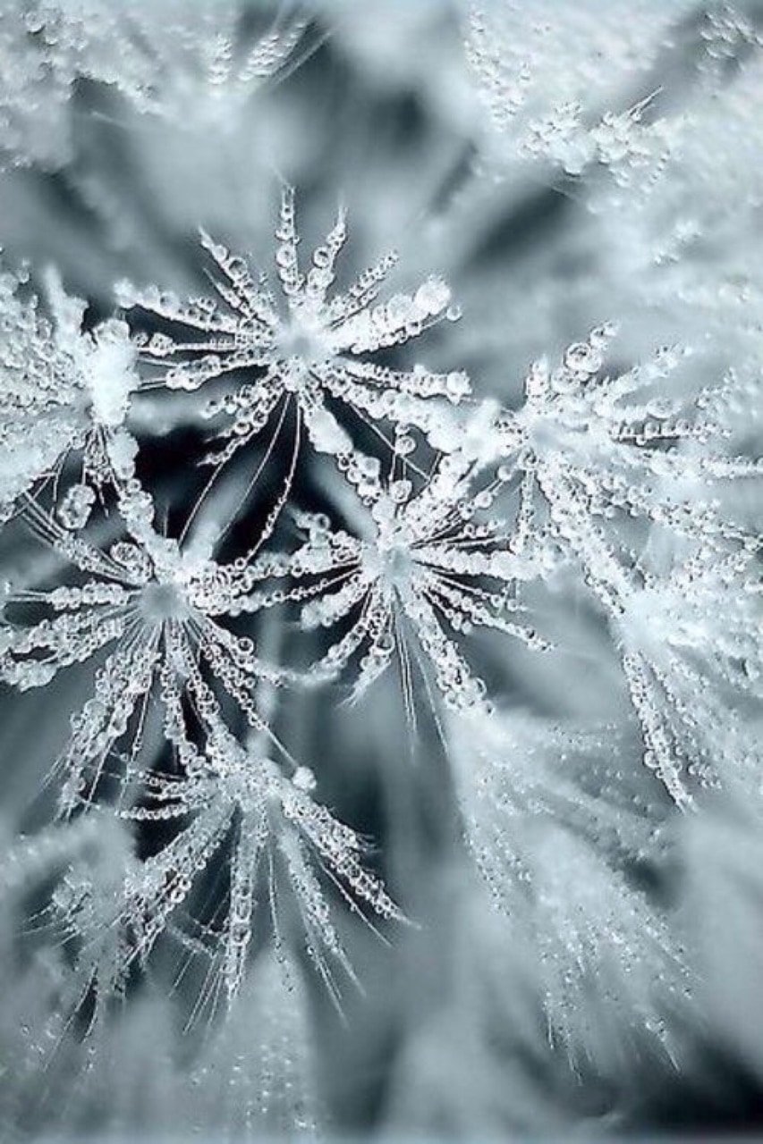 Зима снежинки