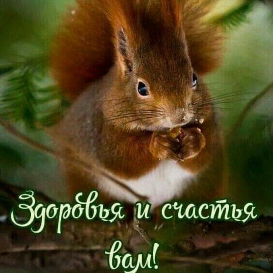 Белка и семья Кузнецова биография