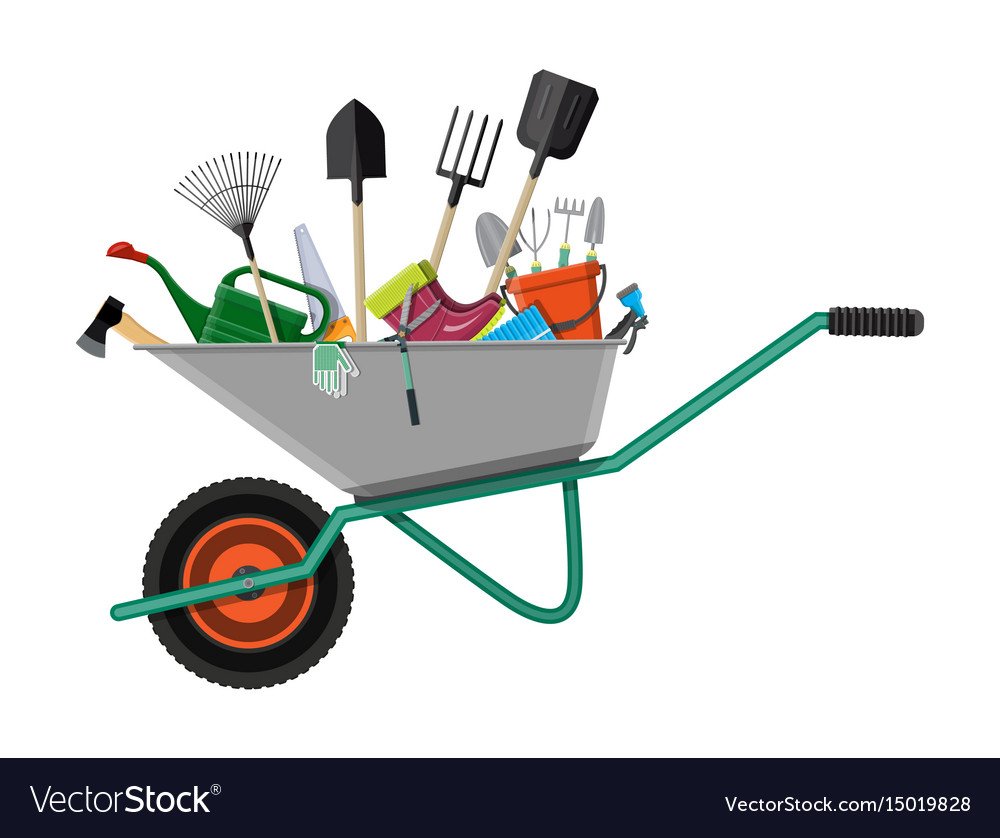 Акция чистый двор