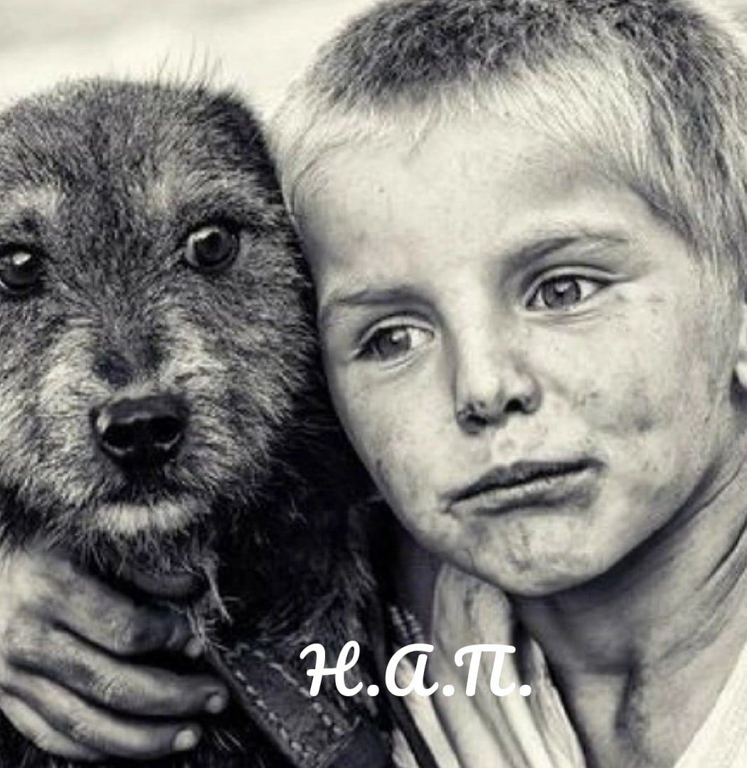 Дамбаев Баир