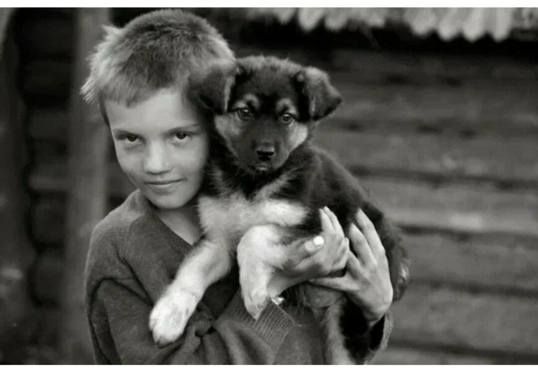 Щенок мальчик