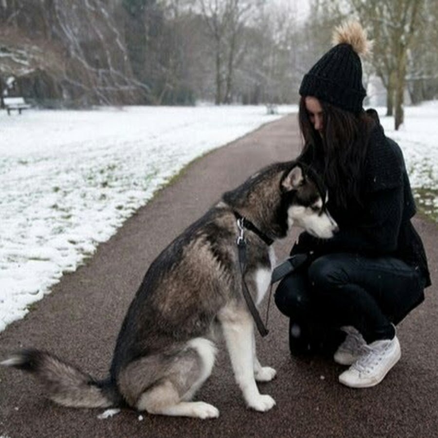 Девушка с хаски со спины