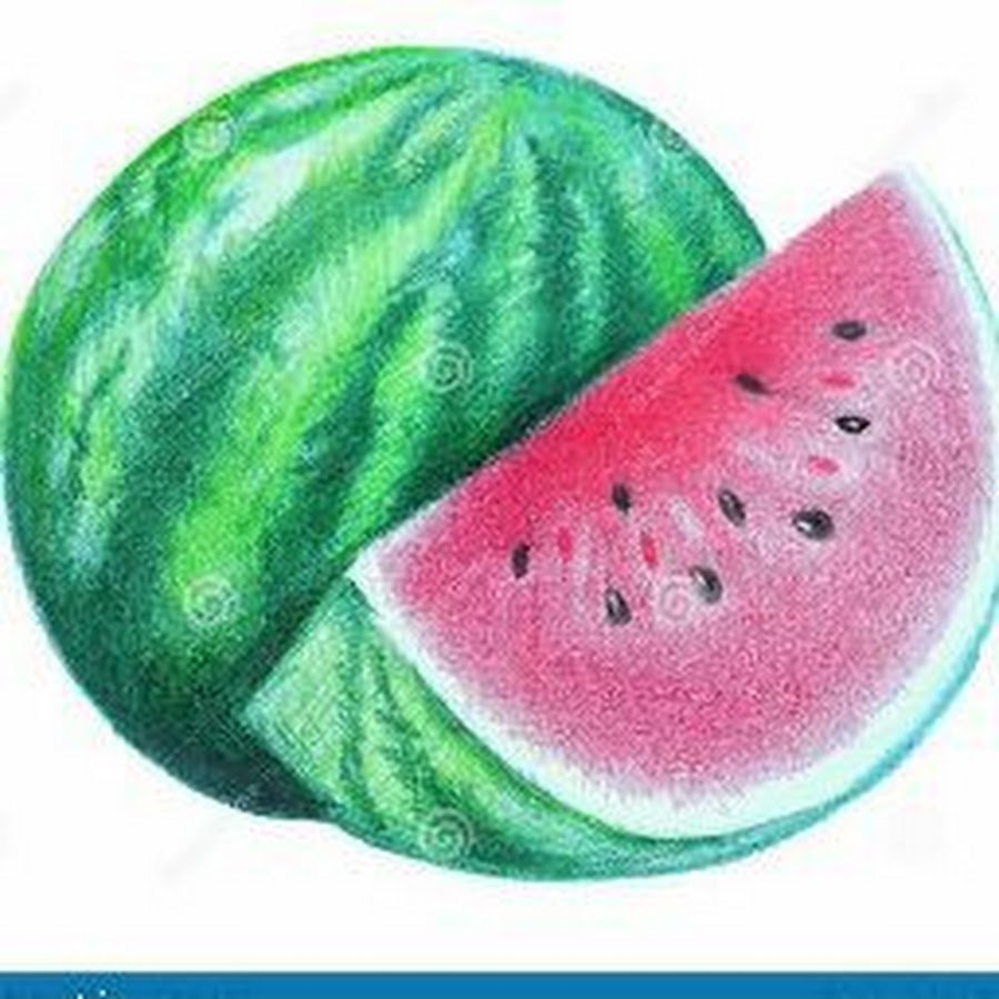 Акварельный скетчинг фрукты арбузик