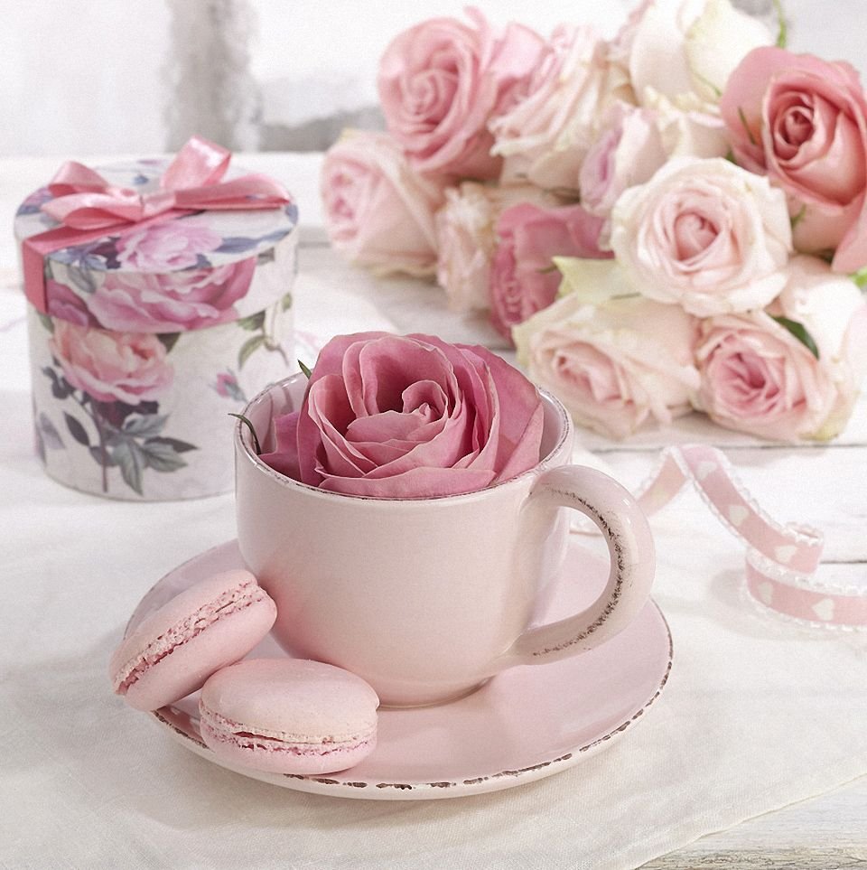 Марианна Локшина