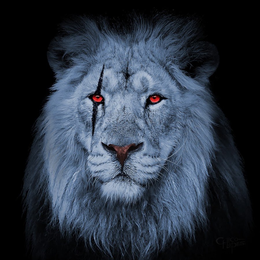 Львица с короной