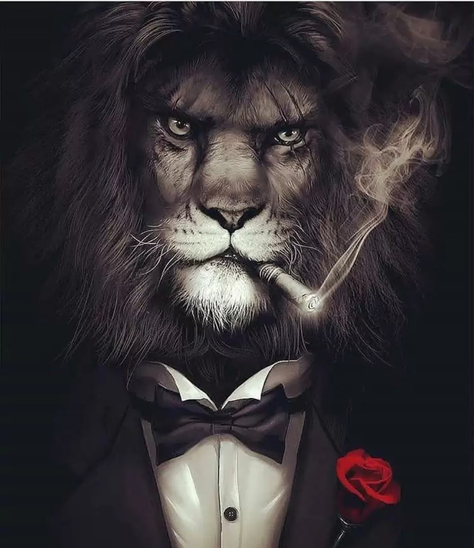 Обложка профиля