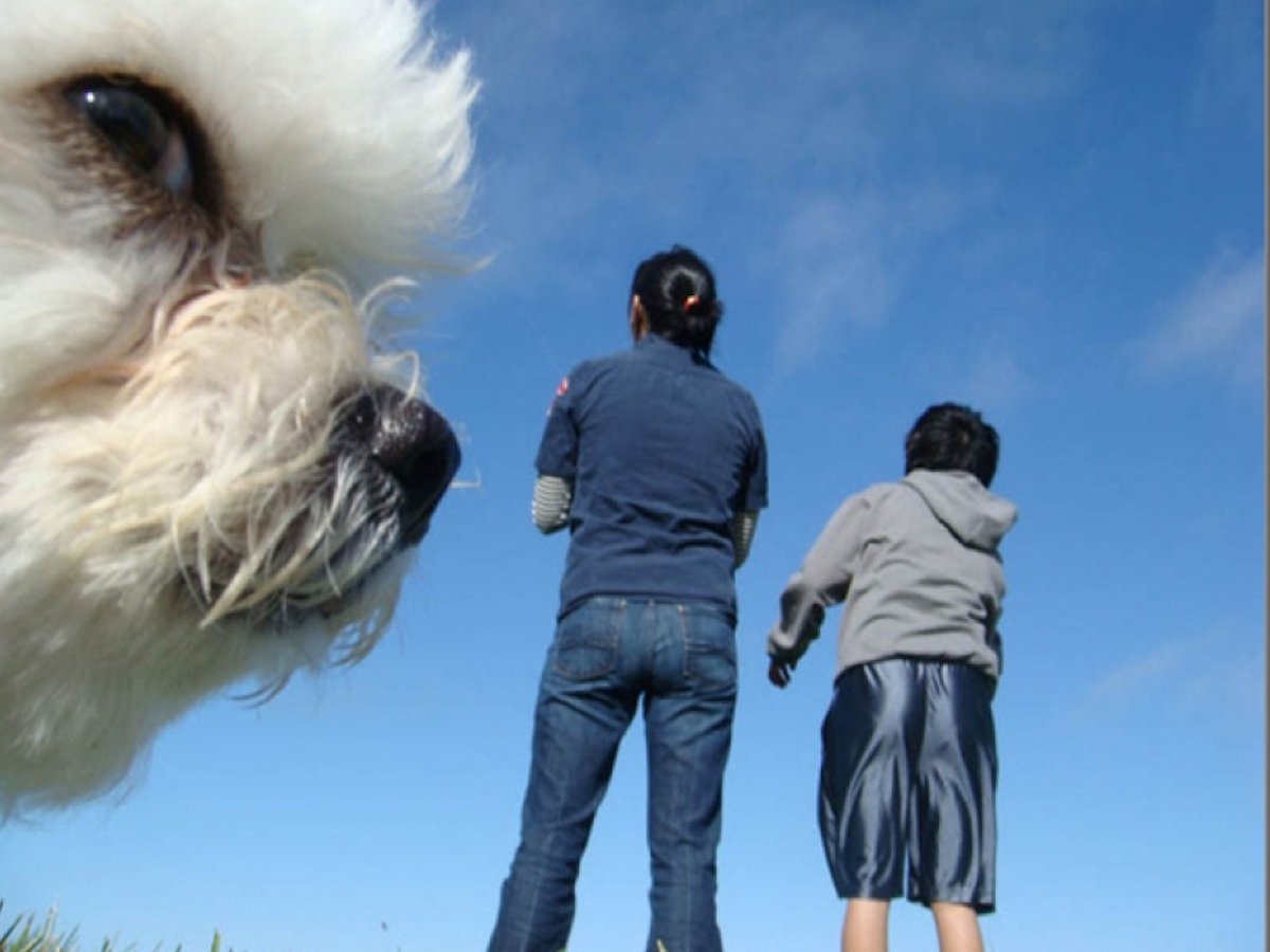 Соня Шишкова