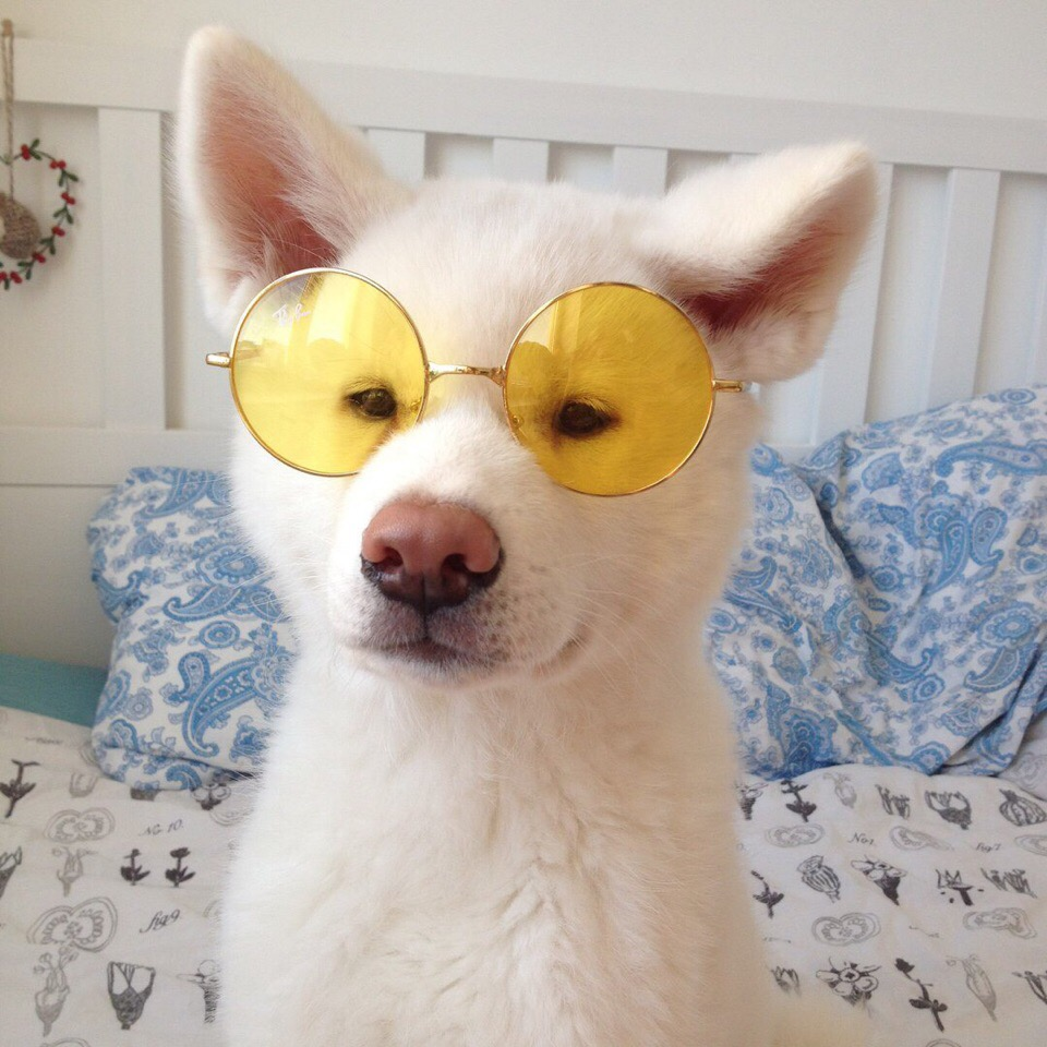 Стилизированные животные