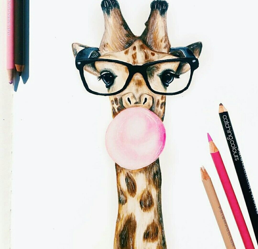 Животные попавшие в Кадр