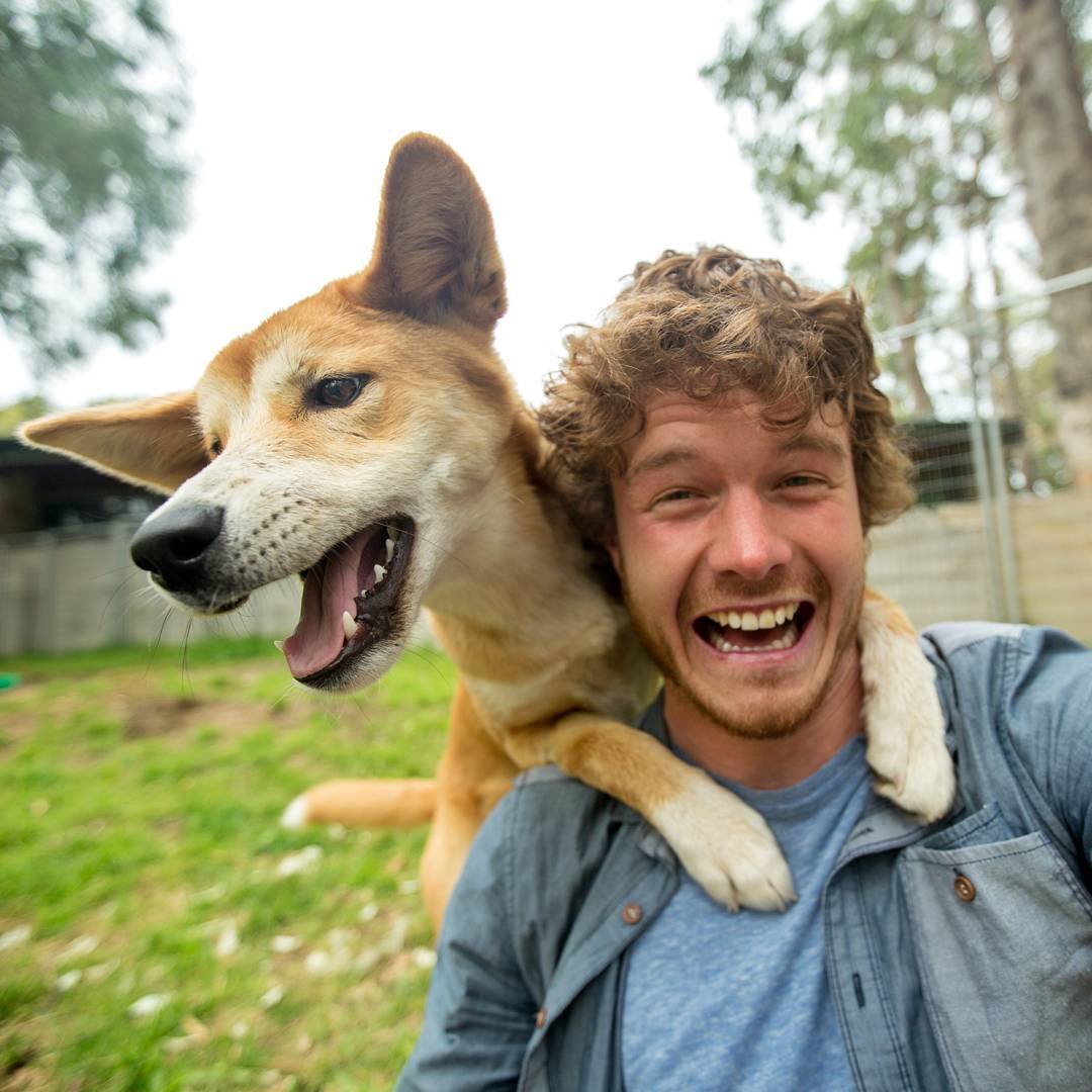 Акварельные иллюстрации животных