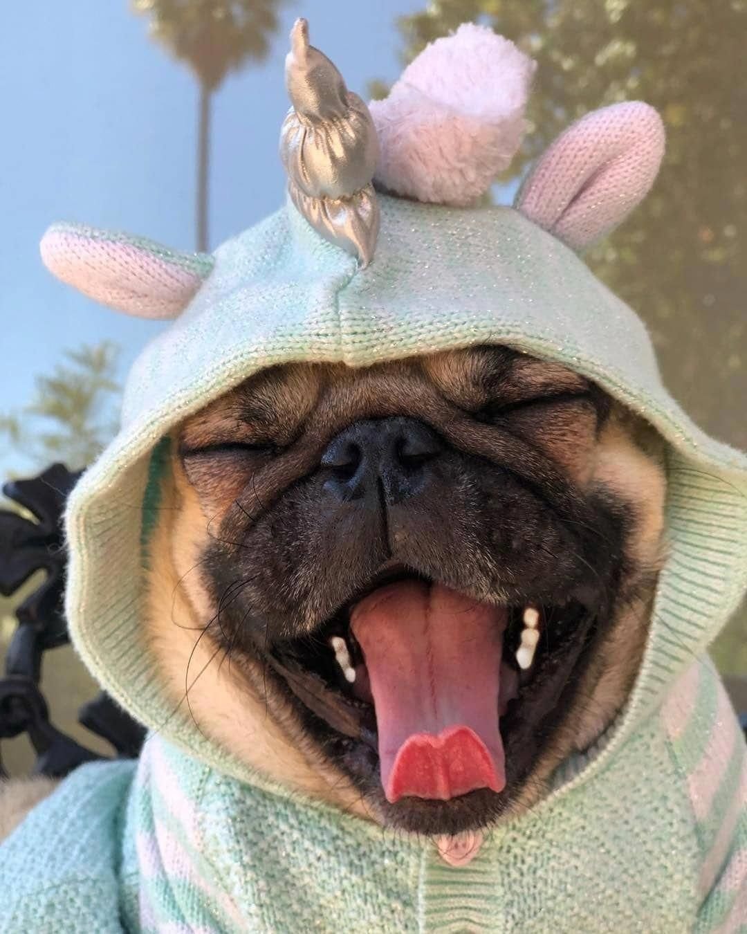 Алекс Солис (Alex Solis) - Кровавая милота