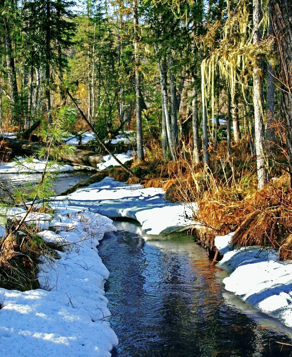 Весенние ручьи