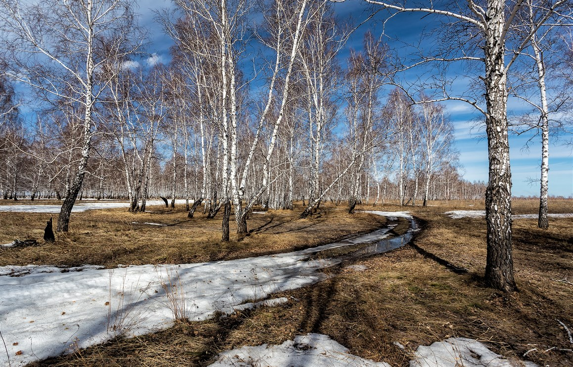 Апрель природа