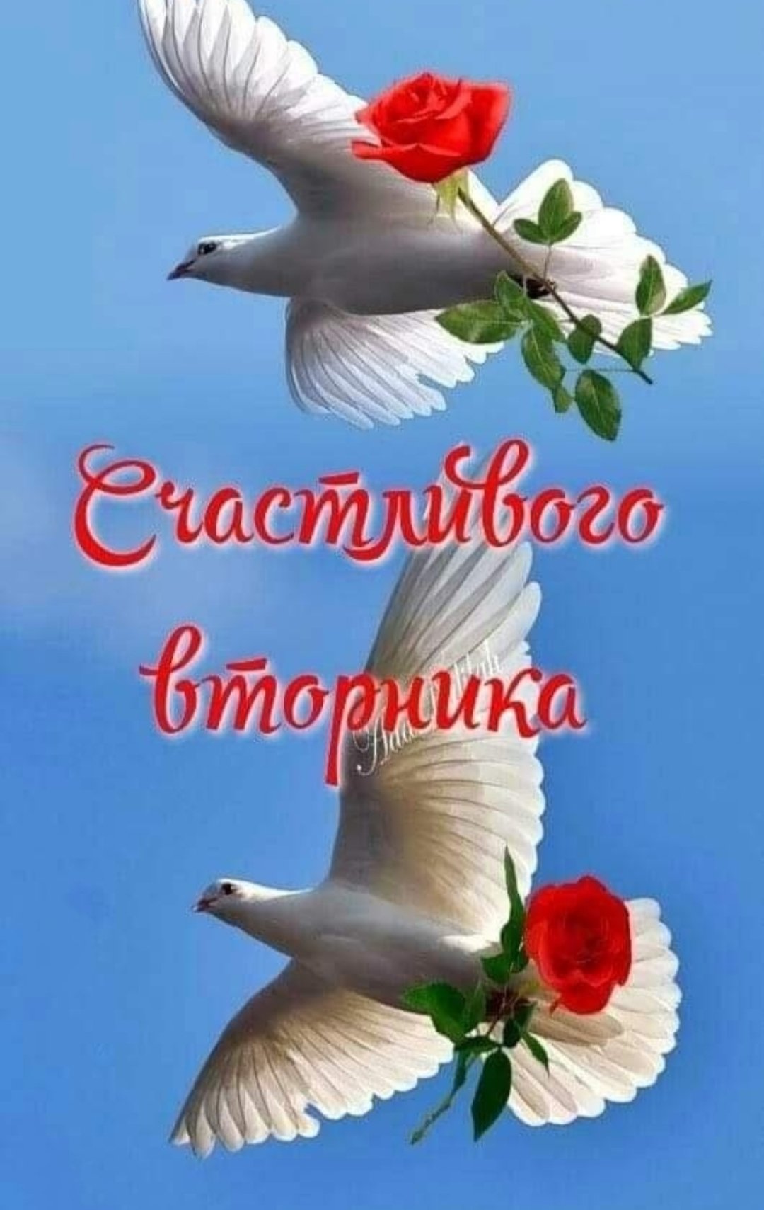 Небо с голубями фон