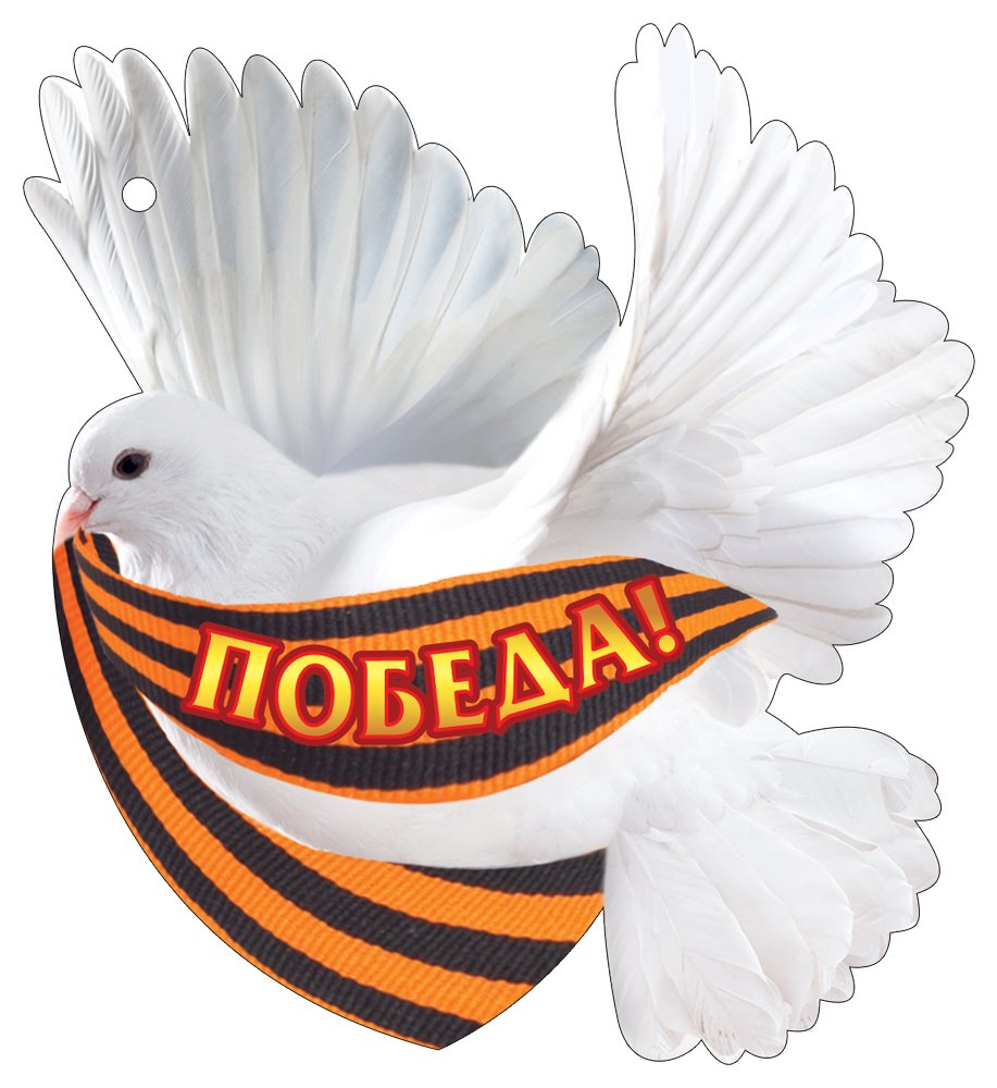 Голубь символ Победы