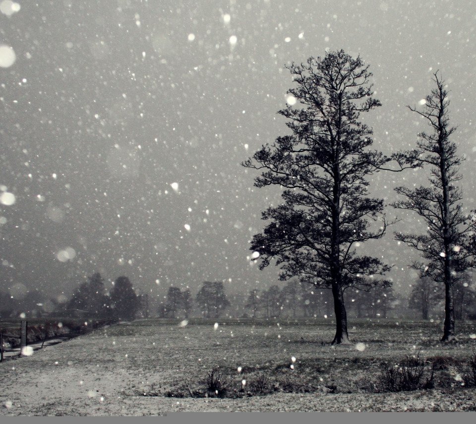 Снегопад чб