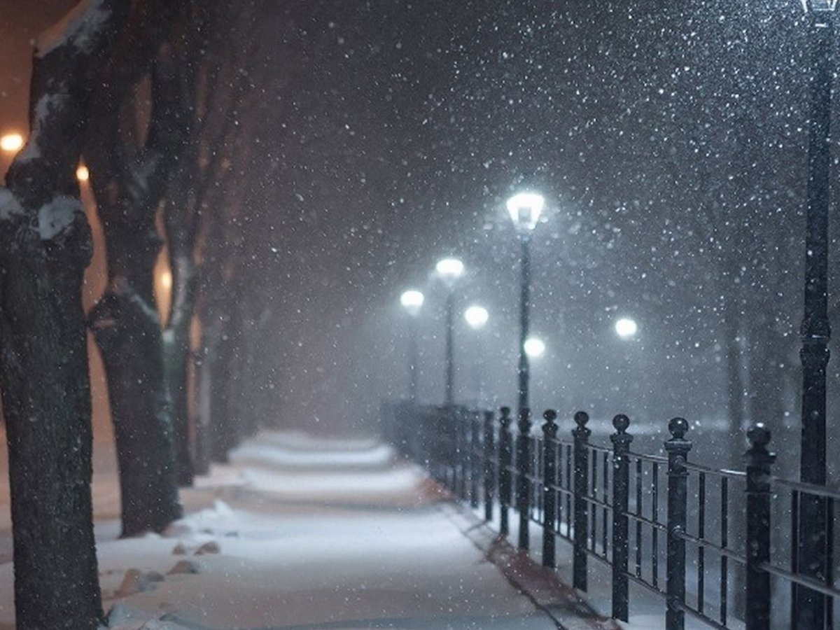 Зимний парк ночью