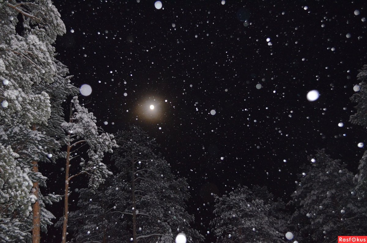 Падающий снег