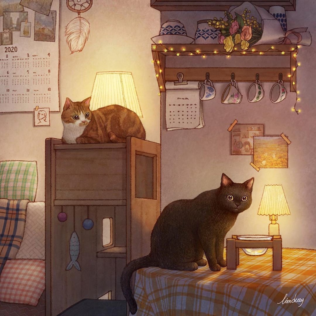 Кошачий мир корейской художницы limduey