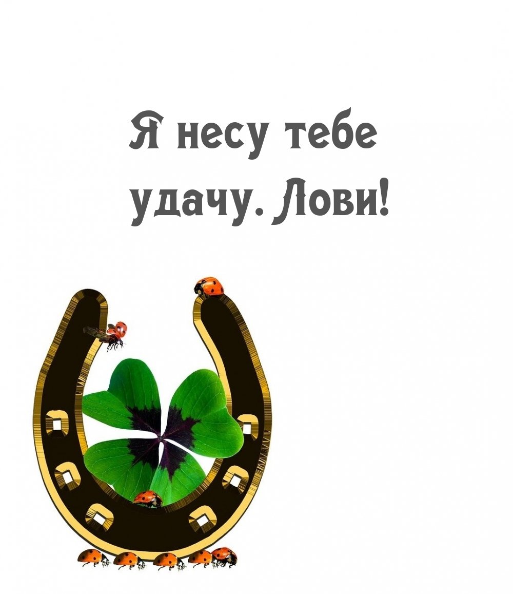 Ловить удачу