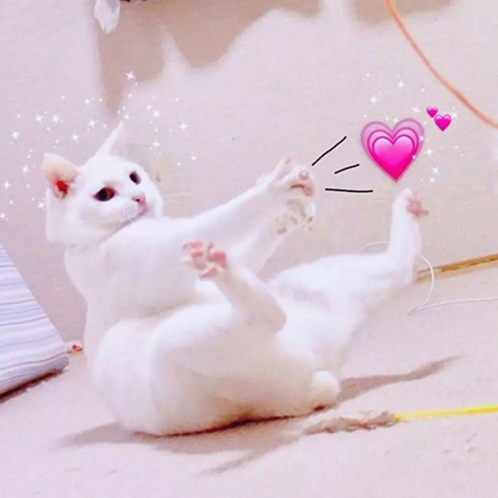 Милый котик с сердечками