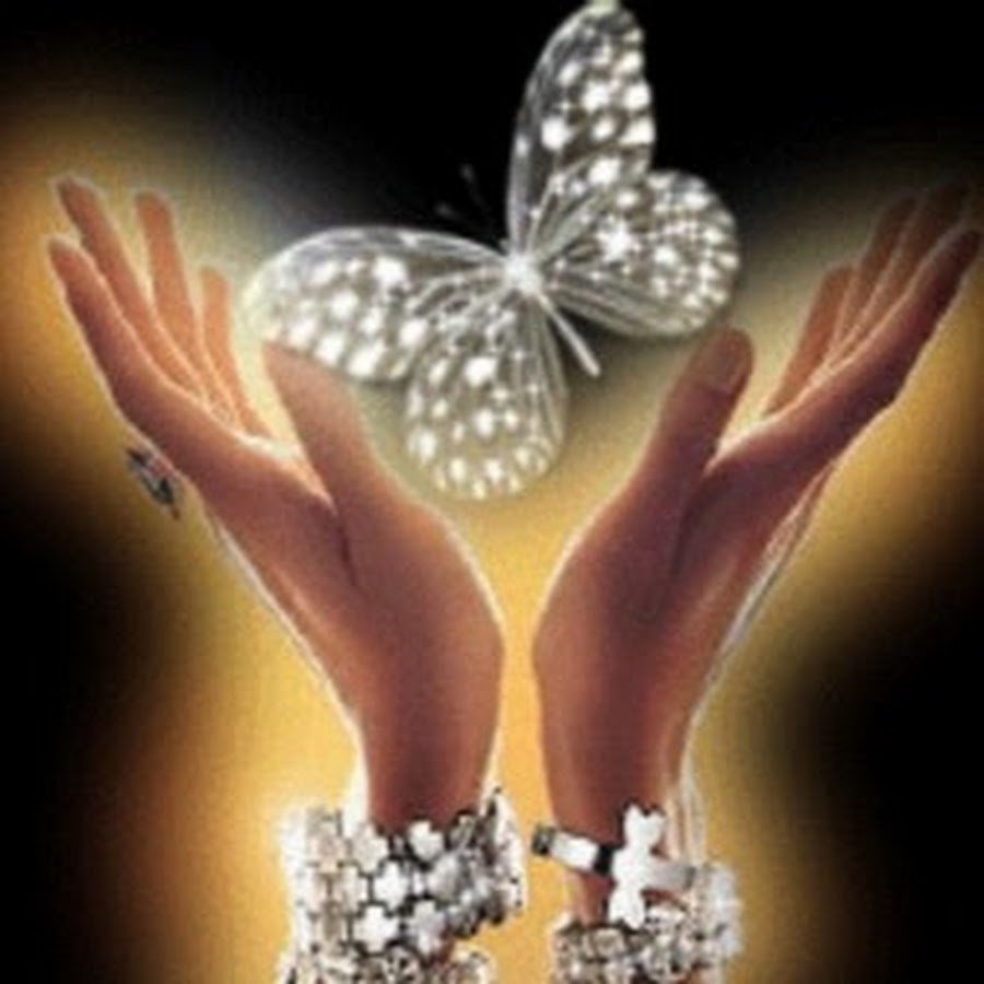 Счастье в ладонях