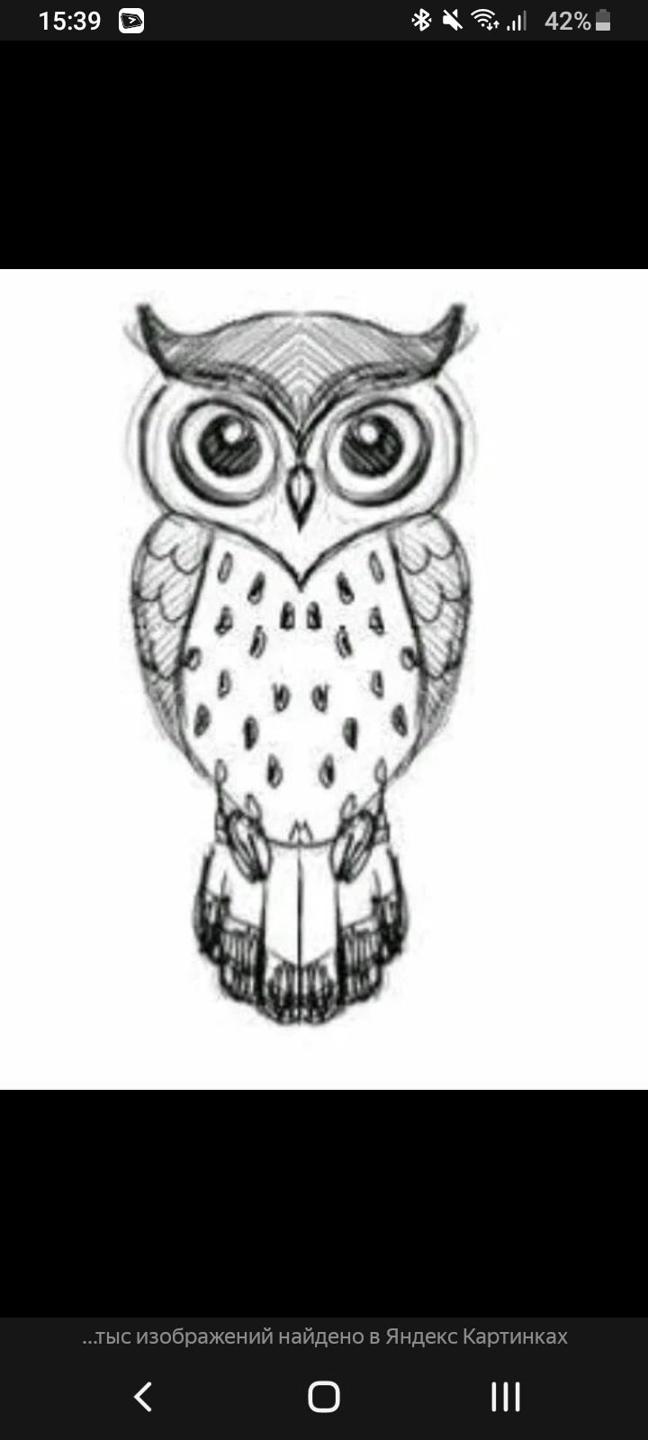 Сова карандашом для срисовки