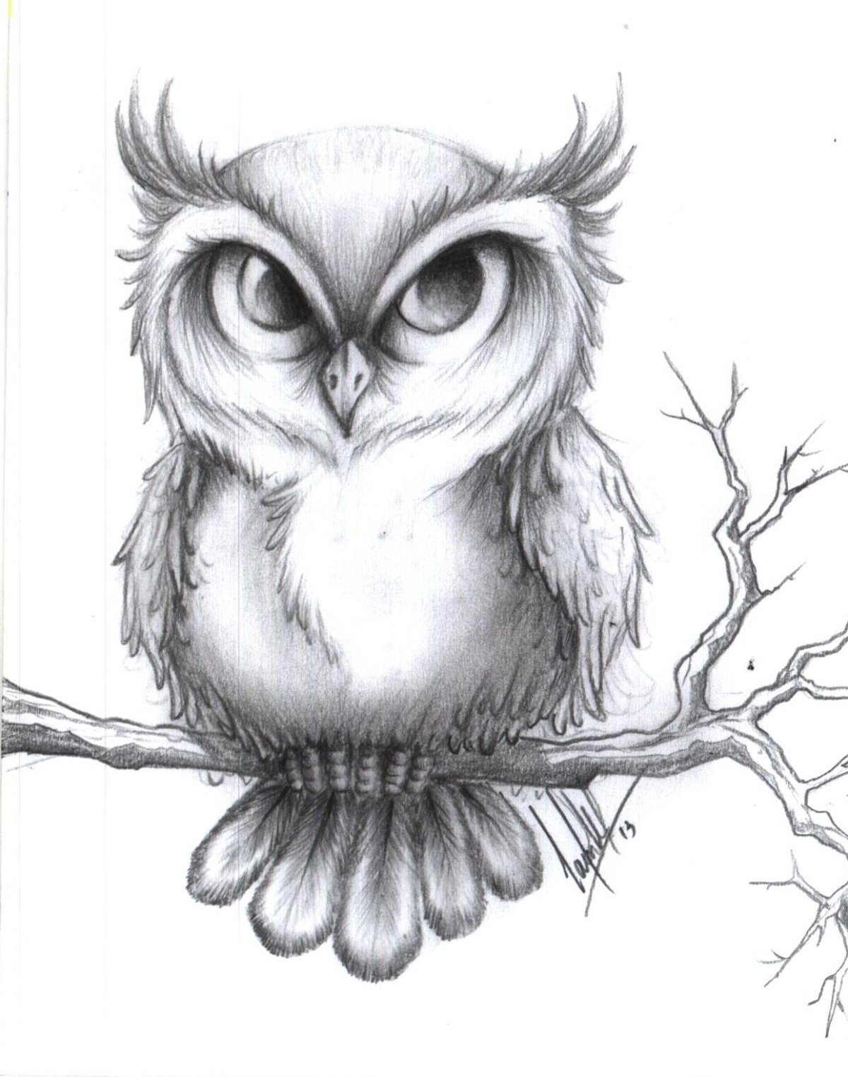 Сова рисунок