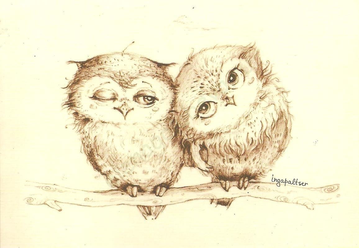 Совы Инги Пальцер