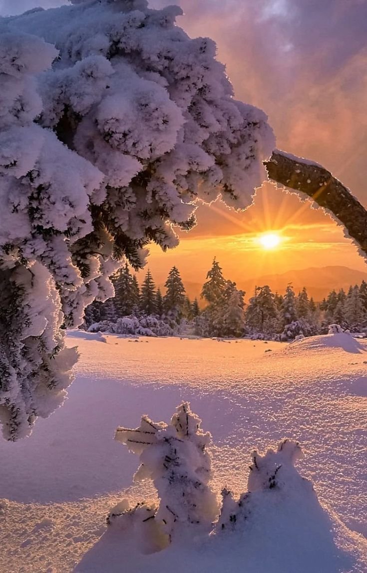 Зимний пейзаж