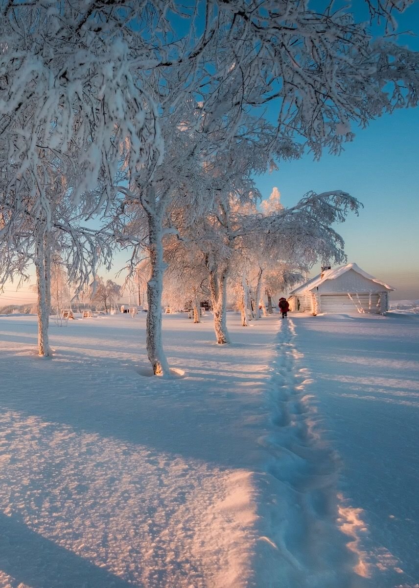 Красивая зима