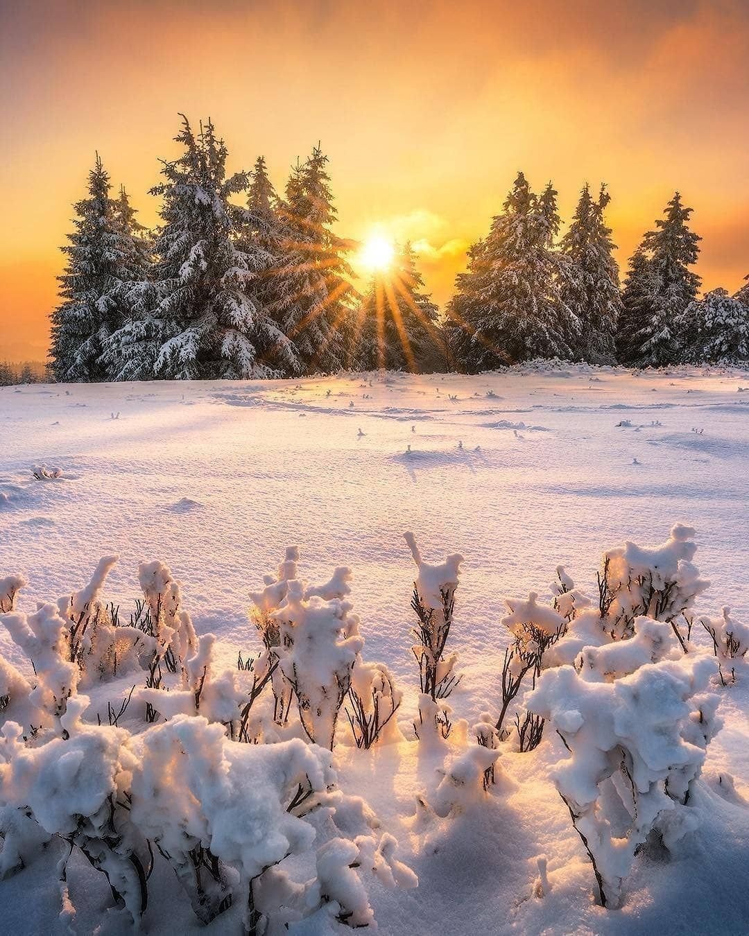 Рассвет зимой