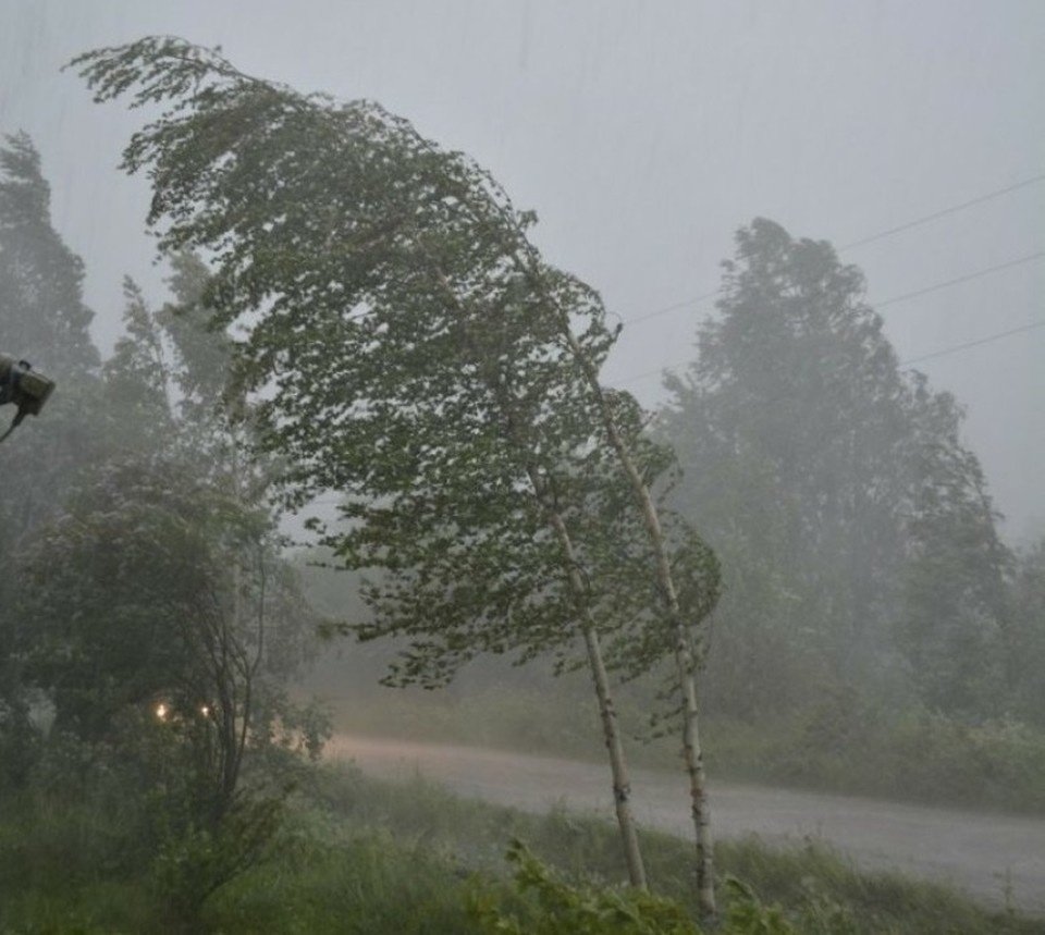 Сильный ветер в Москве
