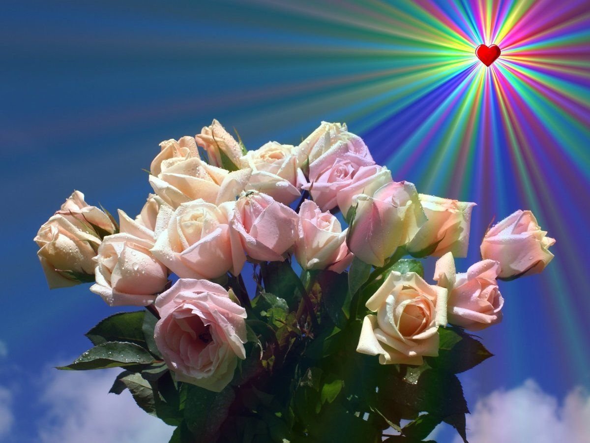 Картинки цветы красивые розы анимация