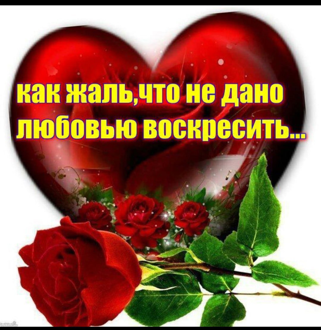 Звезда с неба