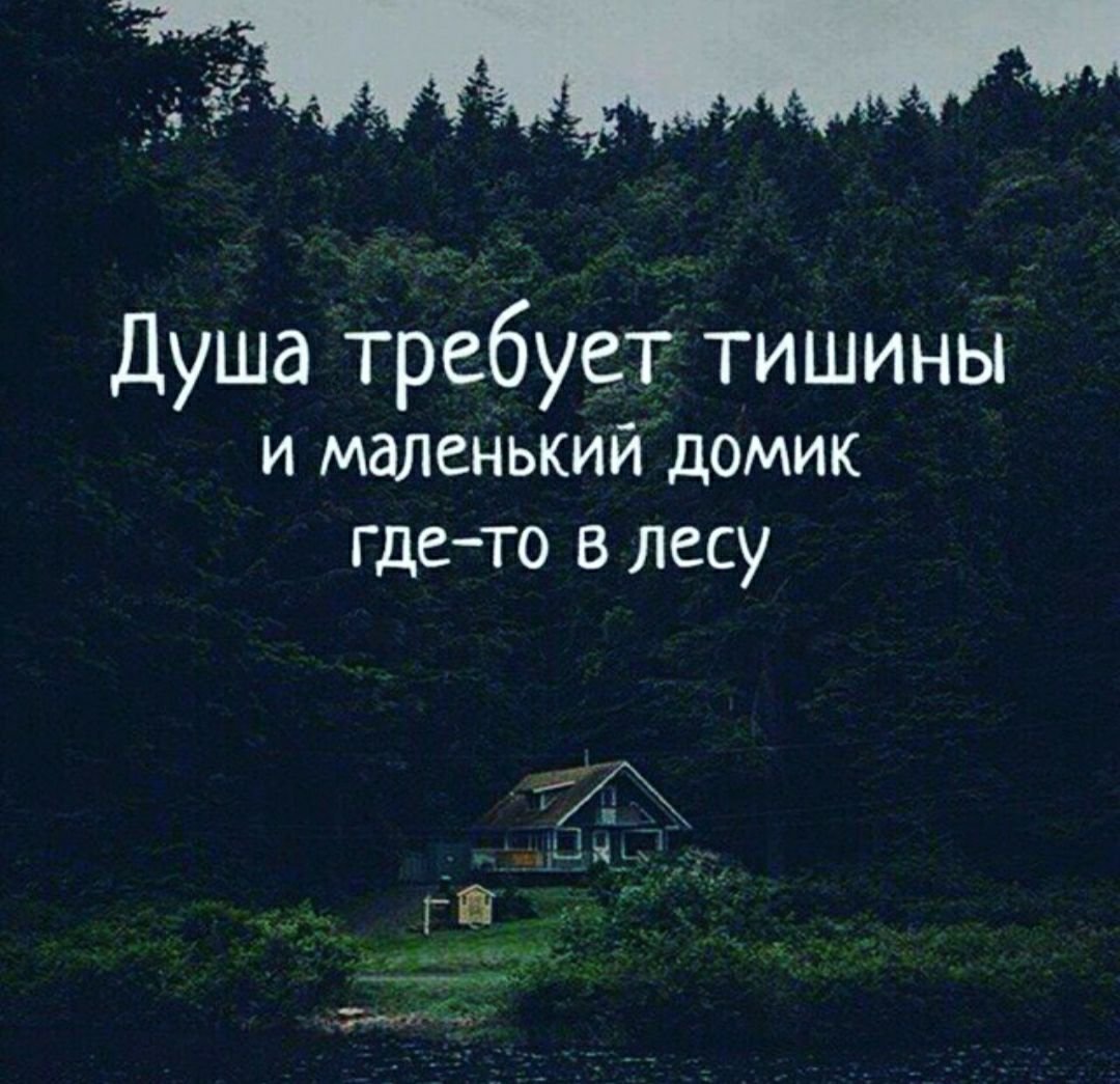 Цитаты про лес