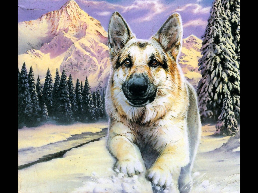 Then Call of the Wild(