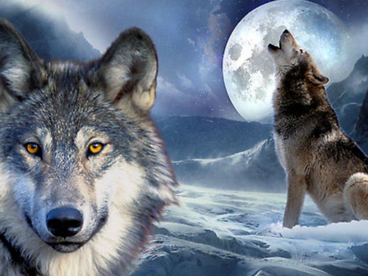 Волк хср гайд. Волк. Волк обои. Красивый волк. Алмазная мозаика "волк".