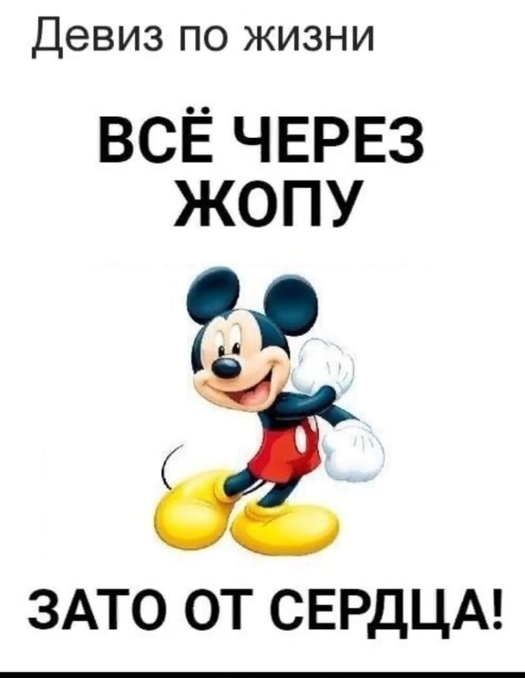 Смешной девиз по жизни