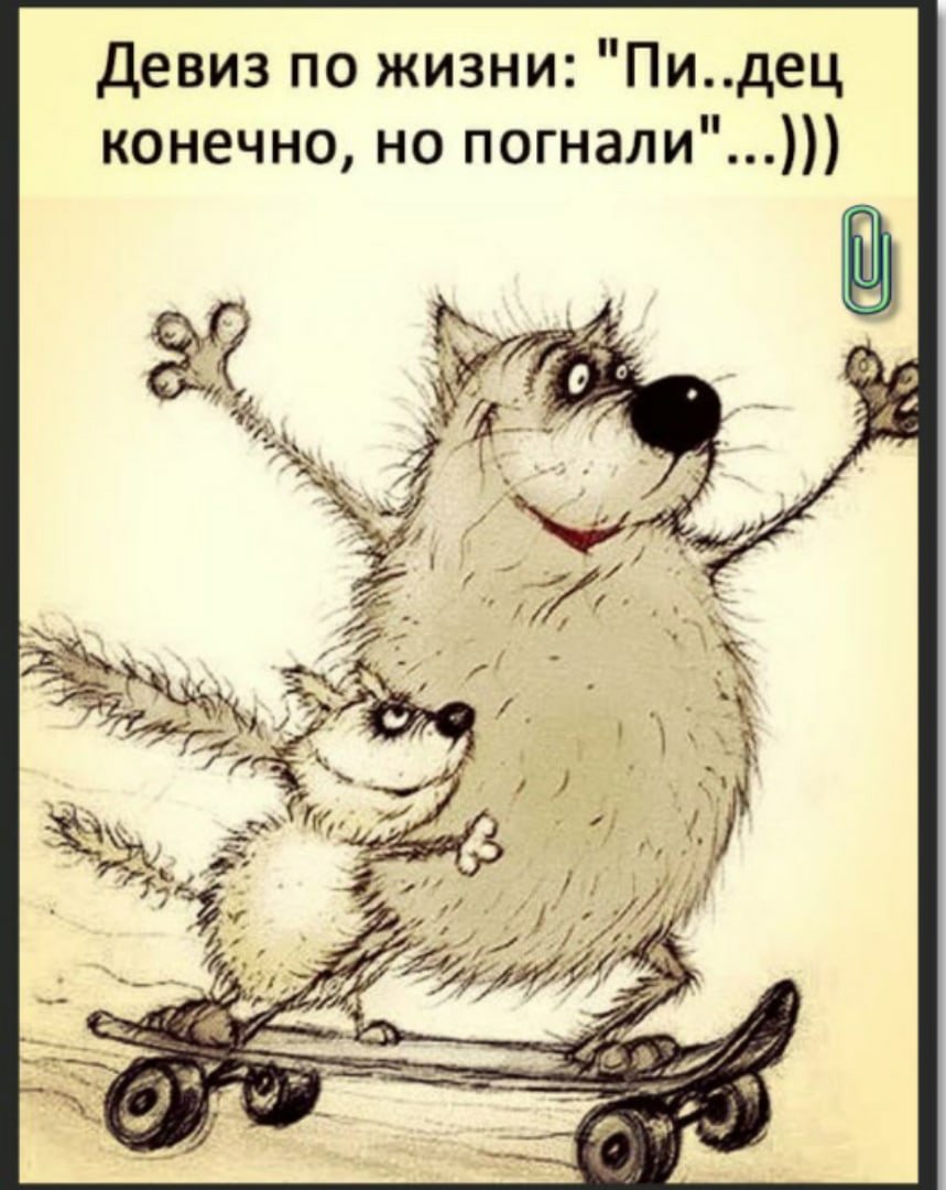 Смешные картинки на тему жизни