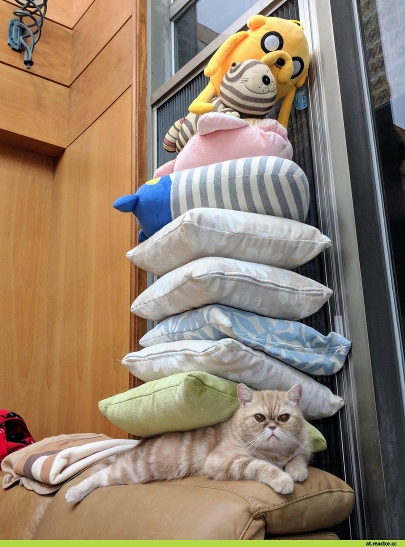 Игрушки для подушки