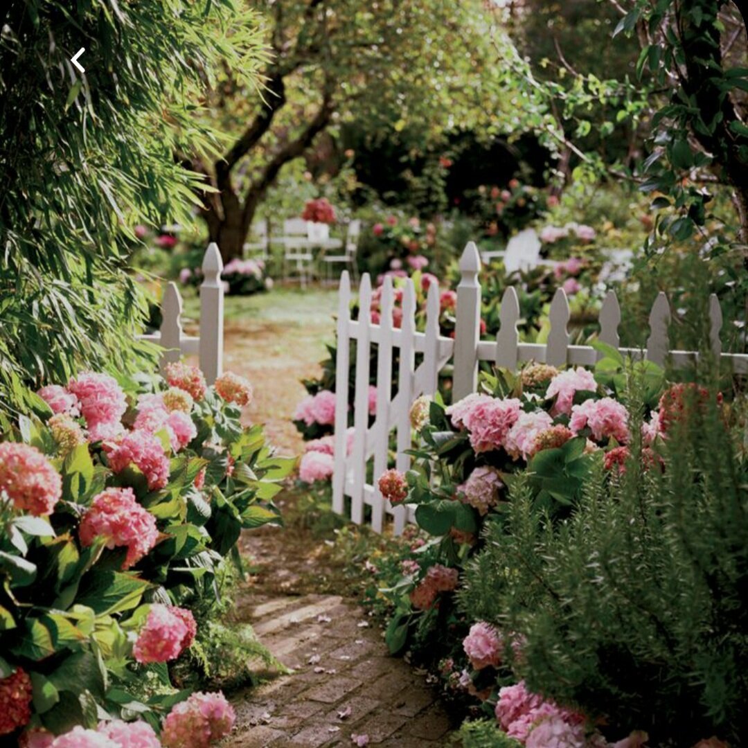 Моттистоун английское поместье сад розы